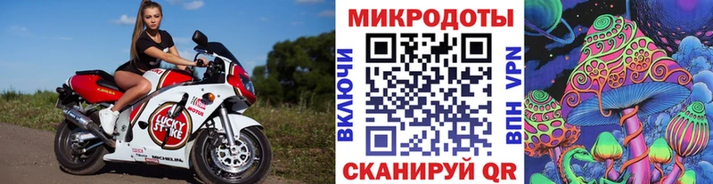 МЕГА как войти  Сусуман  Псилоцибиновые грибы Cubensis  купить закладку 